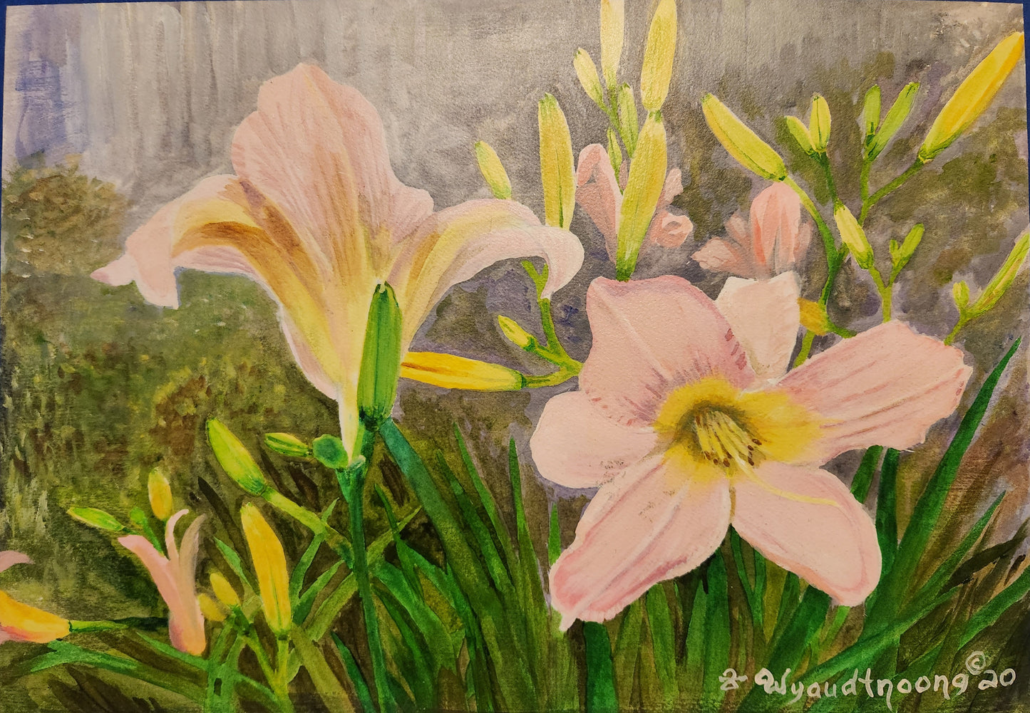 Day lily in Pink