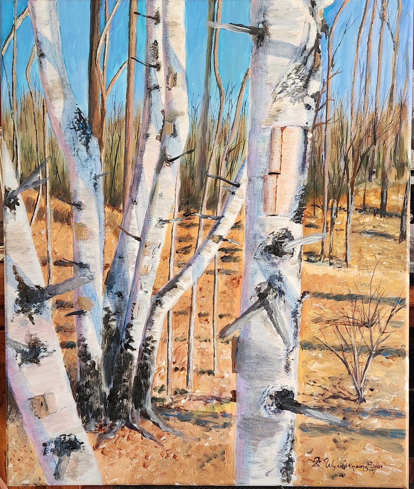 White Birch